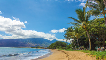 beach