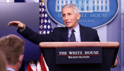 National Institute of Allergy and Infectious Diseases Director Anthony Fauci 