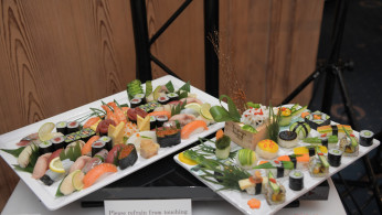 Salmon