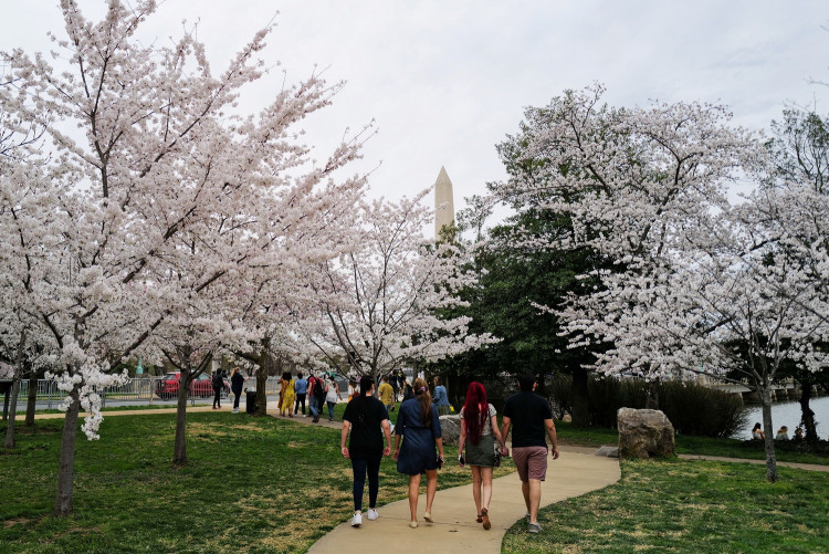 People enjoy the warm weather and blooming cherry blossoms by the Tidal Basin near the Washington Monument, in Washington, U.S. March 27, 2021.