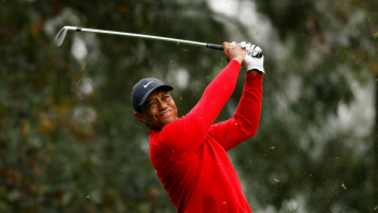 Woods