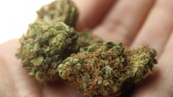 MONEY IN POT 