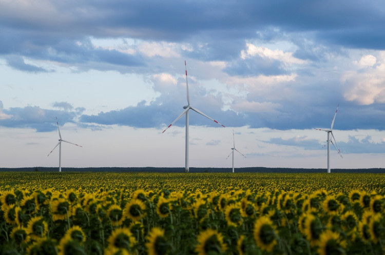Wind turbines are seen in sunflower field during sunset outside Ulyanovsk, Russia.