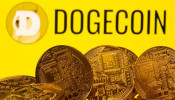 DOGE'S UP