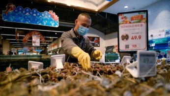 A staff member lays out seafood at a supermarket following an outbreak of the coronavirus disease (COVID-19) in Beijing, China.