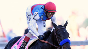 Horse Racing
