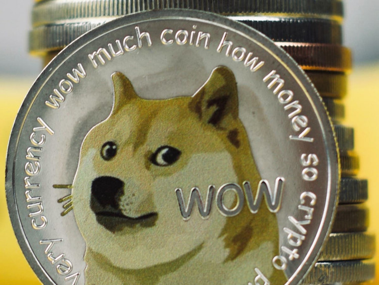 dogecoin fortune
