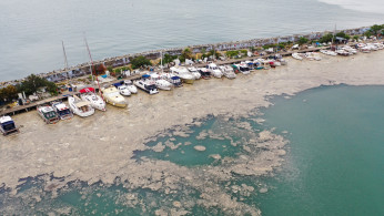Turkey