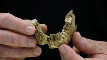 Tel Aviv University Professor Israel Hershkovitz, holds what scientists say is a piece of fossilised bone of a previously unknown kind of early human discovered in central Israel. 