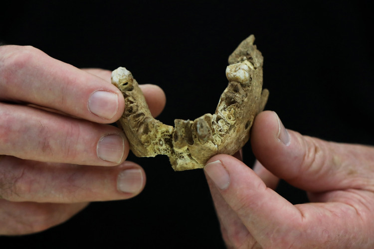 Tel Aviv University Professor Israel Hershkovitz, holds what scientists say is a piece of fossilised bone of a previously unknown kind of early human discovered in central Israel. 