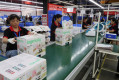 China Toymaker
