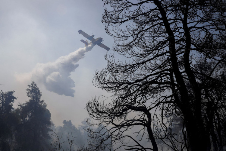 Wildfire