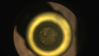 Perseverance's First Cored Mars Rock in Sample Tube
