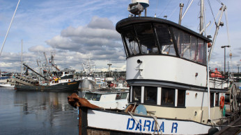 Alaska