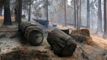 General Sherman