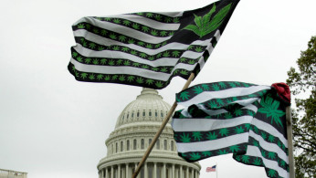 Cannabis