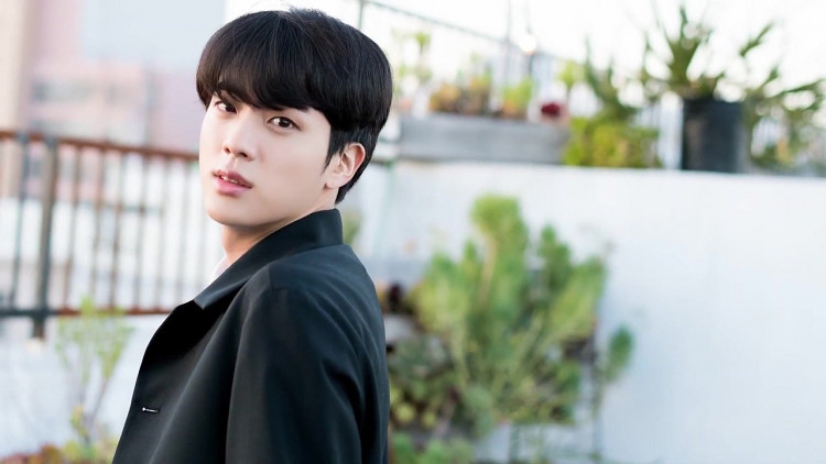 BTS's Jin