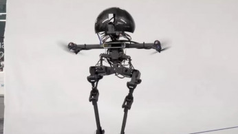 Leonardo: The Skateboarding, Slacklining Robot