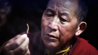Turns Out, Caterpillar Fungus is Crunchy
