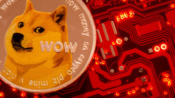 Shiba Inu
