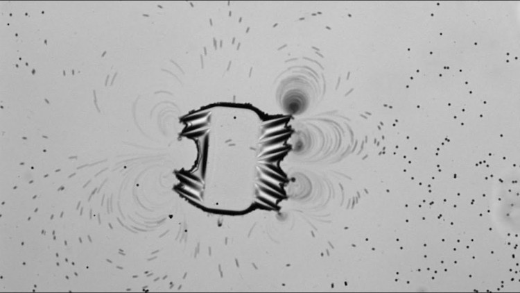 MICROROBOT