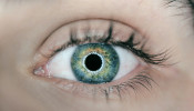 EYE