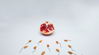 pregnancy illustration