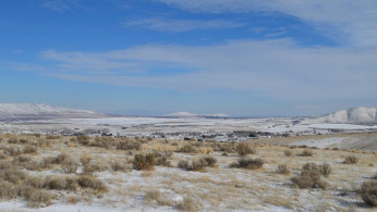 DESERT SNOW