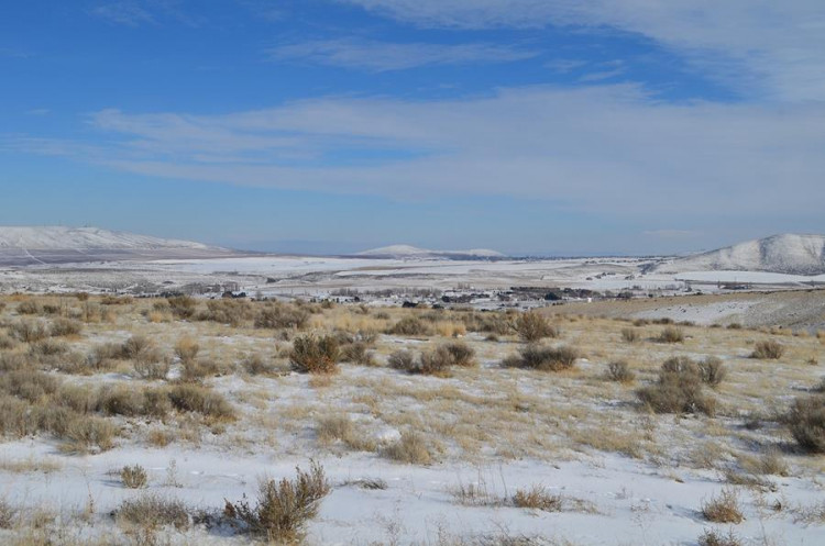 DESERT SNOW
