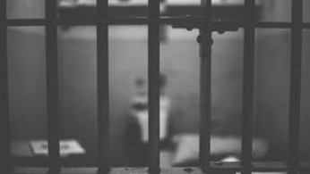 FREED