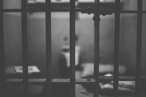 FREED