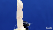 LAB-GROWN SKIN FOR ROBOTS