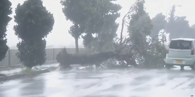  Typhoon Hinnamnor