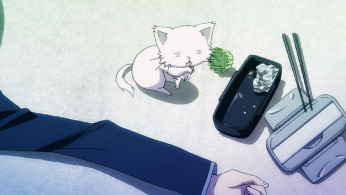 ‘Spy X Family’ Chapter 75 
