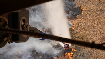 Climate Change Fuels Devastation: Hawaii Wildfires Claim 55 Lives and Leave Thousands Missing
