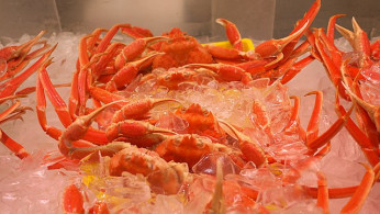 Alaska's Snow Crab Mystery: Billions Vanish as Ocean Warms