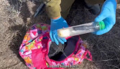 Hamas Plants Booby Traps, Bomb Discovered in Child's Backpack -- Israel Claims