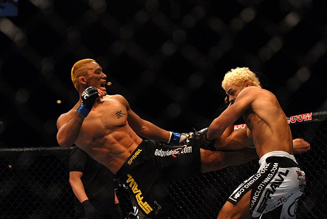 Endeavor Stock Drops Nearly 30% in Two Years Despite Powerhouse IPs UFC and WWE