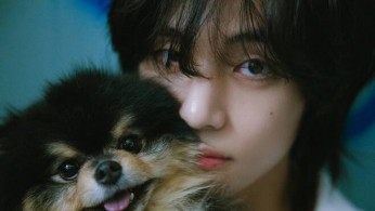 BTS V Conquers Japanese Popularity Polls and Charts, Shining in 'TaeTae Land'