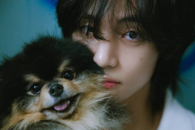 BTS V Conquers Japanese Popularity Polls and Charts, Shining in 'TaeTae Land'
