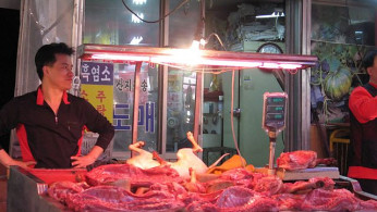 South Korean Parliament Approves Bill Outlawing Dog Meat Trade Amid Cultural Shift