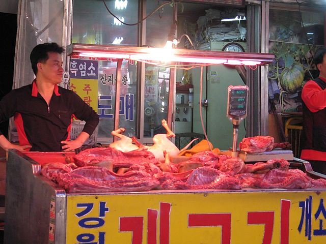 South Korean Parliament Approves Bill Outlawing Dog Meat Trade Amid Cultural Shift