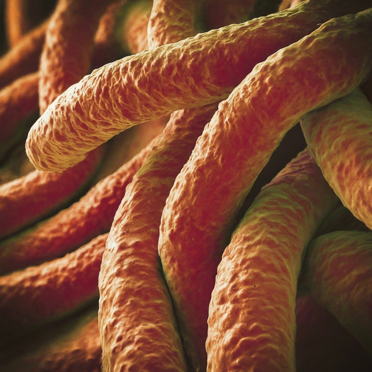 Escalating STI Epidemic in the US Calls for Immediate Action