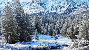 Unprecedented Blizzard Shuts Down Yosemite, Interstate 80 as Sierra Nevada Bears the Brunt