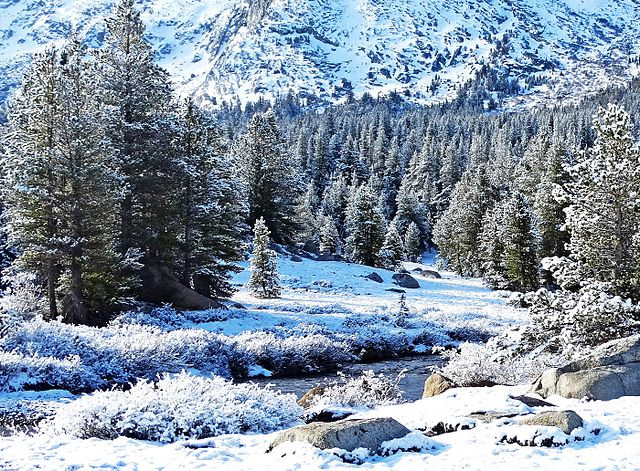 Unprecedented Blizzard Shuts Down Yosemite, Interstate 80 as Sierra Nevada Bears the Brunt