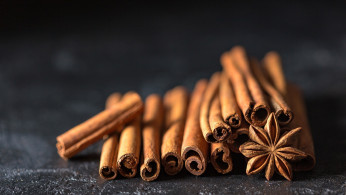 FDA Finds Lead Contamination in Six Brands of Ground Cinnamon, Urges Voluntary Recall