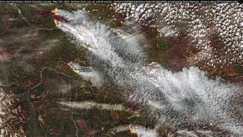 Canadian Wildfires Cause Unhealthy Air Quality in Four U.S. States