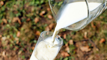 New Study Warns of Risks from Drinking Raw Milk Contaminated with Bird Flu Virus