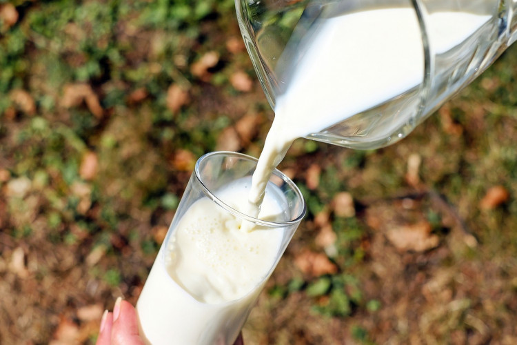 New Study Warns of Risks from Drinking Raw Milk Contaminated with Bird Flu Virus