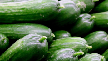 Cucumber Recall Triggers Health Concerns Amid Ongoing Salmonella Outbreak